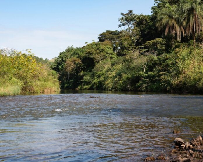 Mariana Dam Disaster